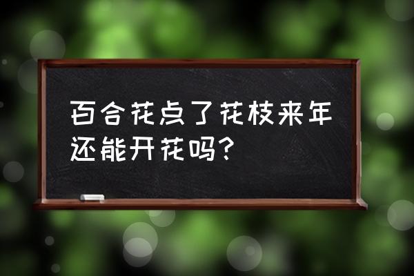 盆栽百合花第二年还能开花吗 百合花点了花枝来年还能开花吗？