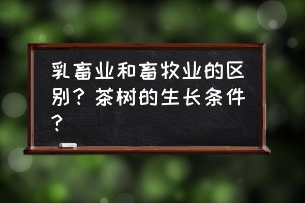 乳畜业和畜牧业有区别吗 乳畜业和畜牧业的区别？茶树的生长条件？