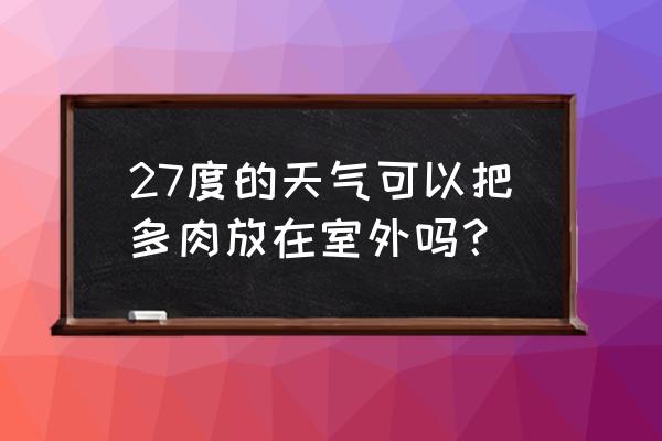 多肉植物适合室外养吗 27度的天气可以把多肉放在室外吗？