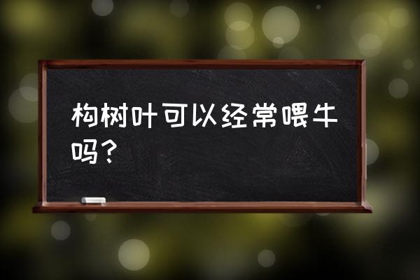 构树饲料哪里有卖的 构树叶可以经常喂牛吗？