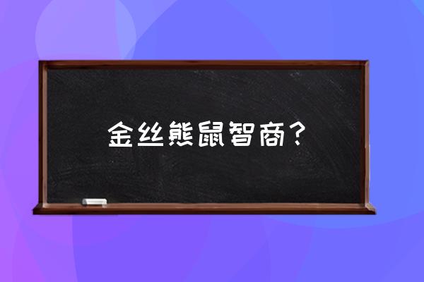 仓鼠智商相当于人类多少 金丝熊鼠智商？