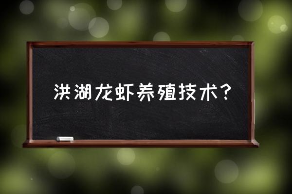 六盘水市哪里有龙虾养殖场 洪湖龙虾养殖技术？