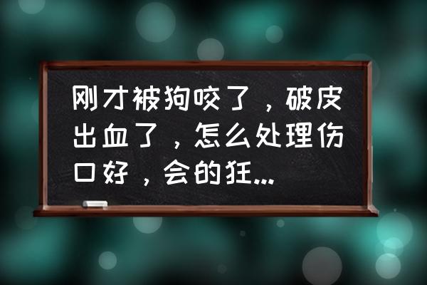 狗咬了破皮出血怎么办啊 刚才被狗咬了，破皮出血了，怎么处理伤口好，会的狂犬病吗？