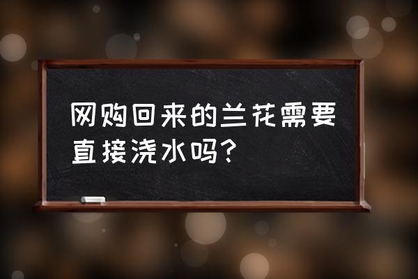 新买的兰花怎么种植管理 网购回来的兰花需要直接浇水吗？