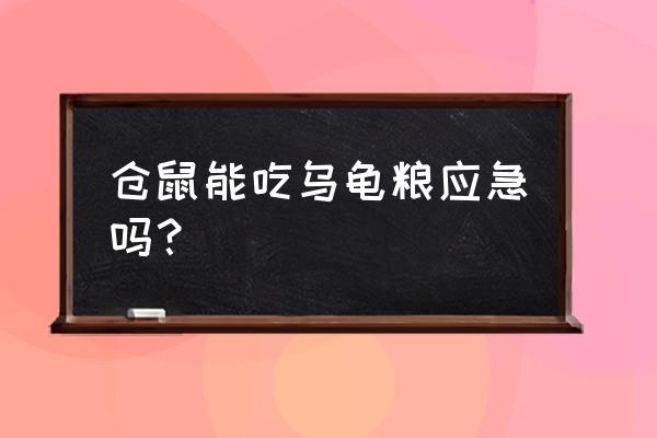 小仓鼠可以吃乌龟饲料吗 仓鼠能吃乌龟粮应急吗？