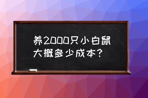 小鼠纯化饲料多少钱 养2000只小白鼠大概多少成本？