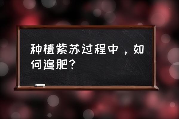 几种叶面肥对紫苏产量的影响 种植紫苏过程中，如何追肥？