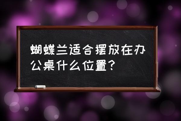 兰花放办公桌什么位置 蝴蝶兰适合摆放在办公桌什么位置？