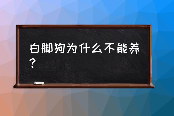 新院子里是让养白狗有什么说发 白脚狗为什么不能养？