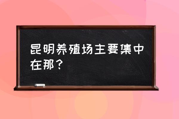 昆明哪里有鸭子养殖场 昆明养殖场主要集中在那？