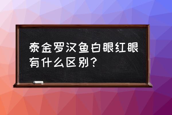 泰金罗汉鱼喂什么饲料好 泰金罗汉鱼白眼红眼有什么区别？