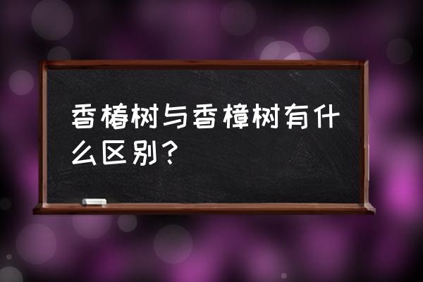 如何正确挑选香椿 香椿树与香樟树有什么区别？