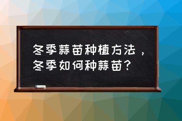 土里种蒜苗的正确过程 冬季蒜苗种植方法，冬季如何种蒜苗？