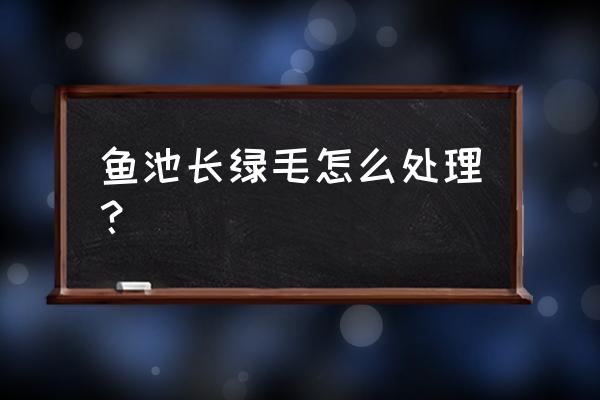 鱼池水发绿最简单处理 鱼池长绿毛怎么处理？