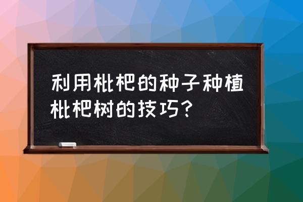 枇杷核的种植方法和注意事项 利用枇杷的种子种植枇杷树的技巧？