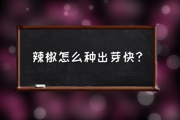 辣椒籽发芽后怎样才能长壮 辣椒怎么种出芽快？