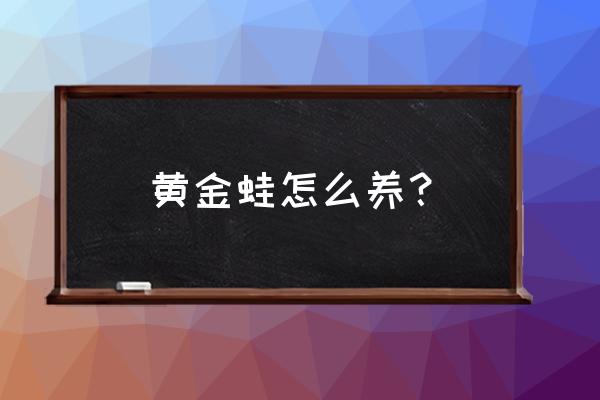 盆里养青蛙的水多久换一次 黄金蛙怎么养？