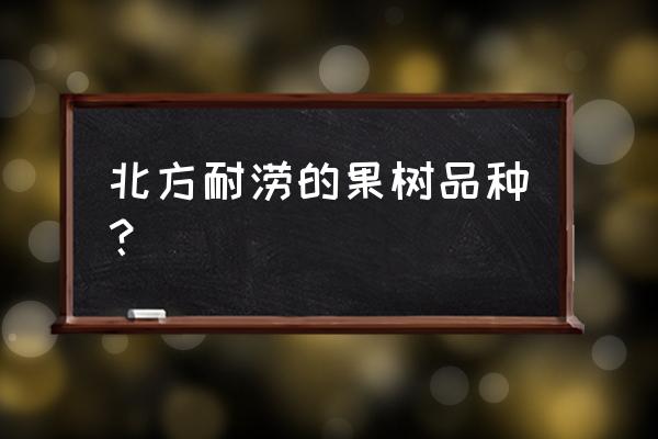 北方室内盆栽椰子树好养吗 北方耐涝的果树品种？