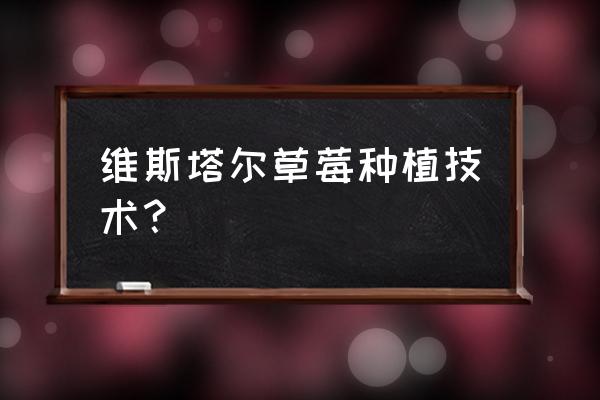 草莓的栽培方法与技术 维斯塔尔草莓种植技术？