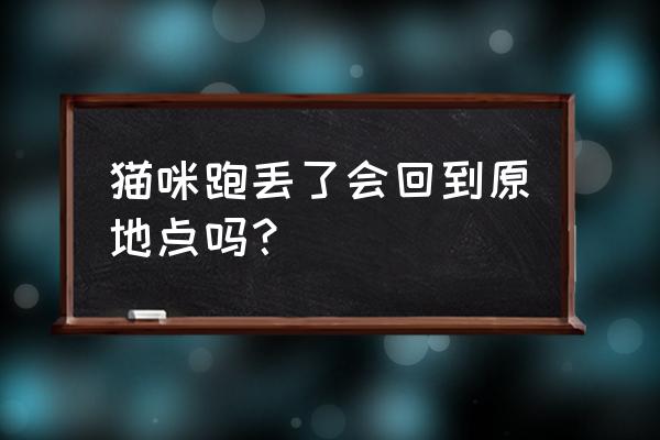 猫咪在家跑丢了要怎么找 猫咪跑丢了会回到原地点吗？