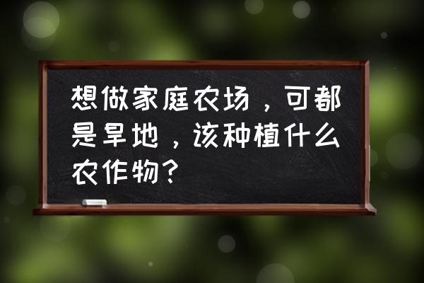 自己在家能种什么水果 想做家庭农场，可都是旱地，该种植什么农作物？