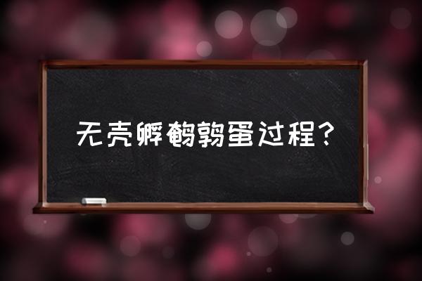 如何制作泡沫箱孵化小鸡 无壳孵鹌鹑蛋过程？