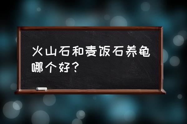 乌龟缸里养什么草最好 火山石和麦饭石养龟哪个好？