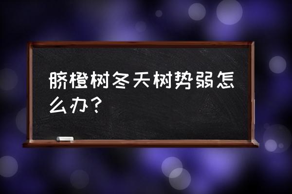 冬天吃橙子太冷怎么办呢 脐橙树冬天树势弱怎么办？