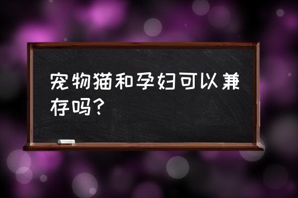 家里有孕妇可以养猫咪吗 宠物猫和孕妇可以兼存吗？