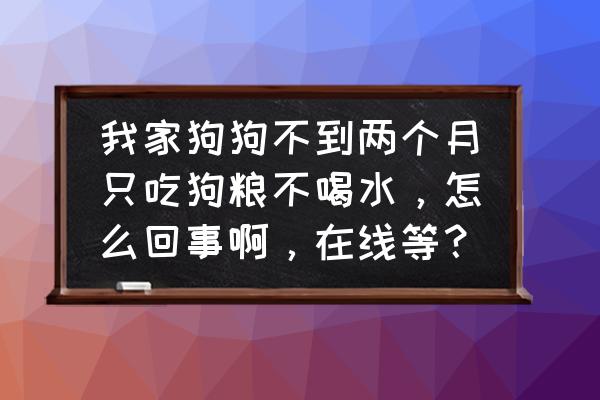 狗狗不爱吃狗粮是怎么一回事 我家狗狗不到两个月只吃狗粮不喝水，怎么回事啊，在线等？