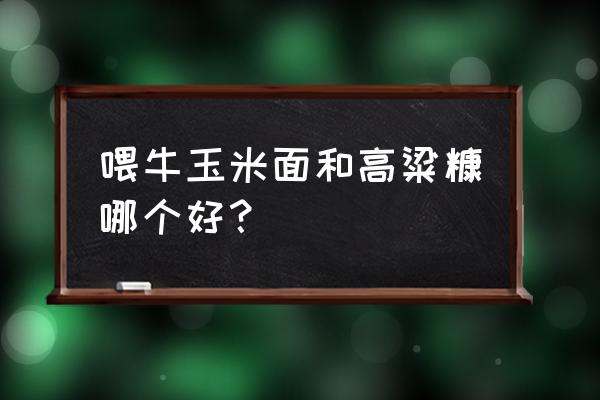 喂牛玉米面煮熟好还是生喂好呢 喂牛玉米面和高粱糠哪个好？