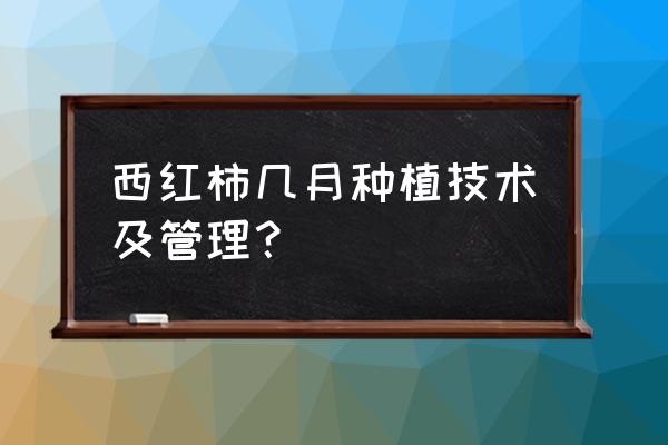 西红柿苗种植技巧 西红柿几月种植技术及管理？