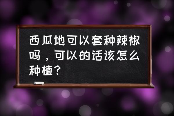 玉米辣椒套种优缺点 西瓜地可以套种辣椒吗，可以的话该怎么种植？