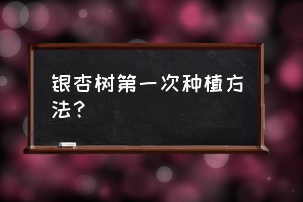 银杏树的种植方法和地点 银杏树第一次种植方法？