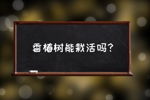 买的香椿苗怎么栽 香椿树能栽活吗？