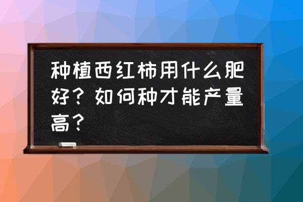 自己种的西红柿用什么肥料长得大 种植西红柿用什么肥好？如何种才能产量高？