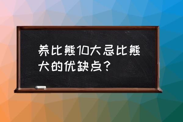 可以经常喂比熊鸡肉吗为什么 养比熊10大忌比熊犬的优缺点？