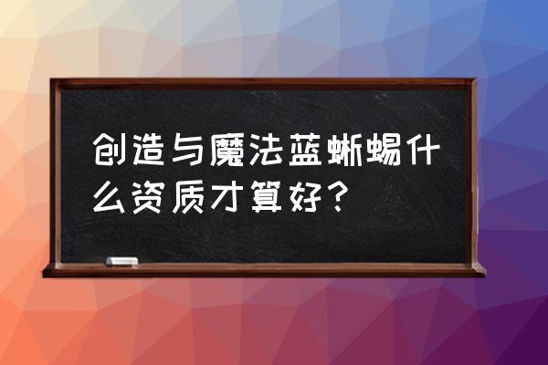 蓝蜥蜴确切位置图 创造与魔法蓝蜥蜴什么资质才算好？