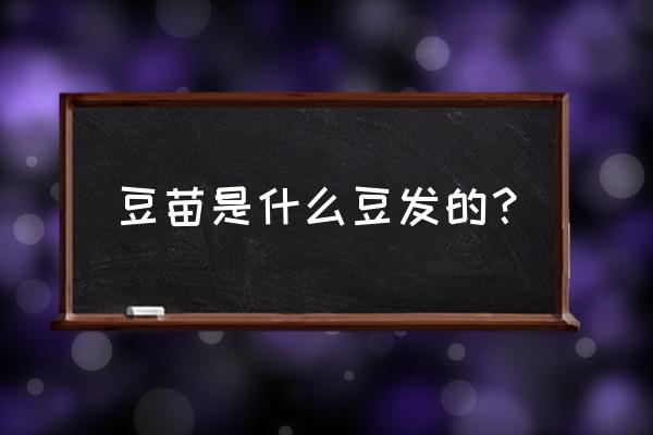 无土栽培豆苗的方法 豆苗是什么豆发的？