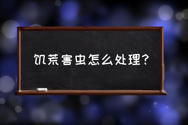 对付害虫的最好方法 饥荒害虫怎么处理？