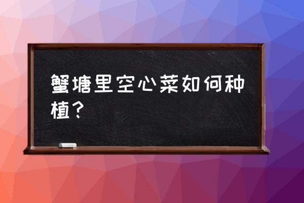 20亩蟹塘一年能赚多少 蟹塘里空心菜如何种植？