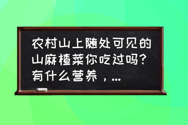 麦蒿的种子功效与作用 农村山上随处可见的山麻楂菜你吃过吗？有什么营养，怎么做最好吃？