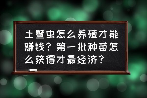 初学者养土元需要注意的事项 土鳖虫怎么养殖才能赚钱？第一批种苗怎么获得才最经济？