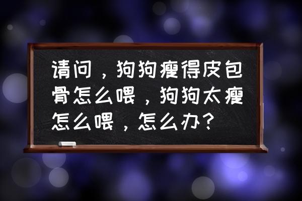 狗狗太瘦怎么才喂得胖 请问，狗狗瘦得皮包骨怎么喂，狗狗太瘦怎么喂，怎么办？