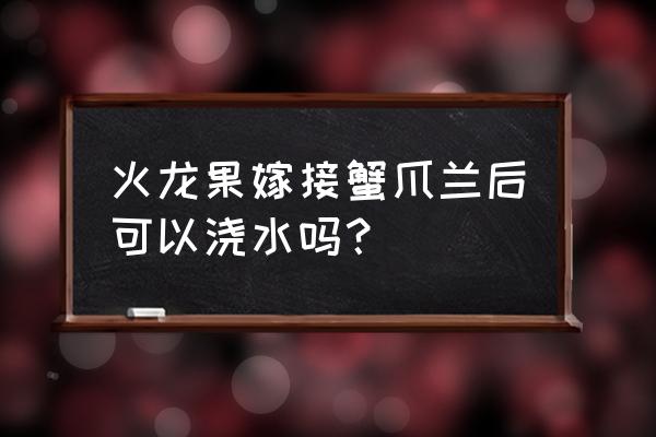 火龙果嫁接蟹爪兰缺点 火龙果嫁接蟹爪兰后可以浇水吗？