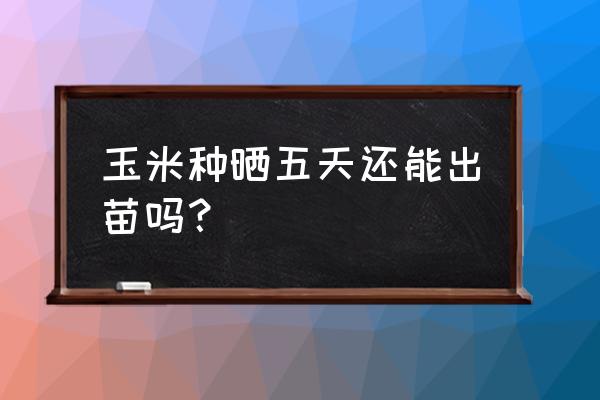 玉米种子催芽泡几个小时合适 玉米种晒五天还能出苗吗？