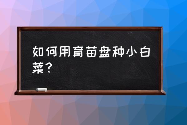 怎样用育苗盘育生菜苗 如何用育苗盘种小白菜？