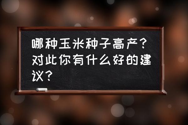 好吃的高端玉米 哪种玉米种子高产？对此你有什么好的建议？