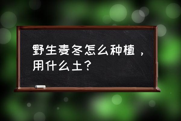 去除麦冬最好的方法 野生麦冬怎么种植，用什么土？