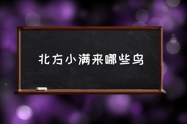 收麦子的时候有一种鸟叫是什么鸟 北方小满来哪些鸟